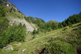 Wirpitschalm 30001 2016-07-10.jpg