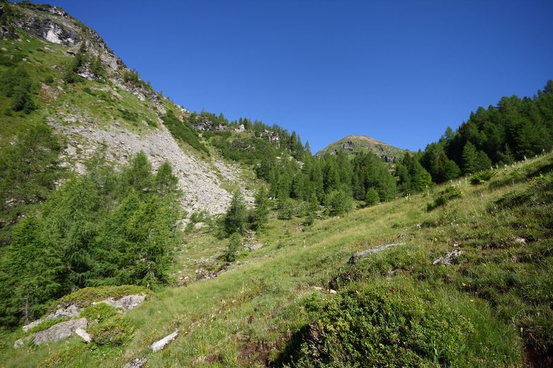 Datei:Wirpitschalm 30001 2016-07-10.jpg