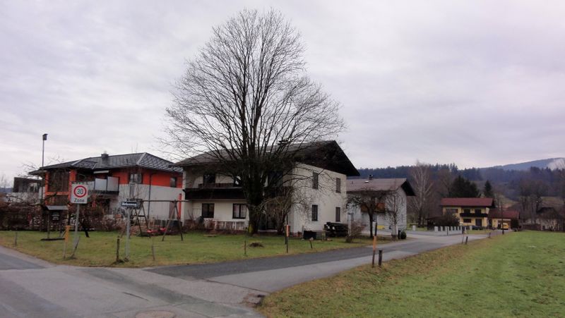 Datei:Birkenweg.jpg