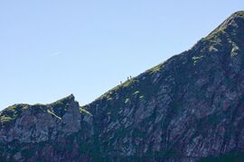 Gurpitscheck großes 18383 2010-07-08.jpg
