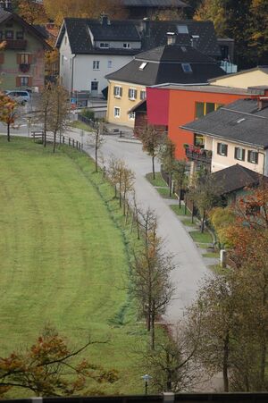 Pfarrhofallee-Zoomaufnahme vom Thalgauberg.JPG