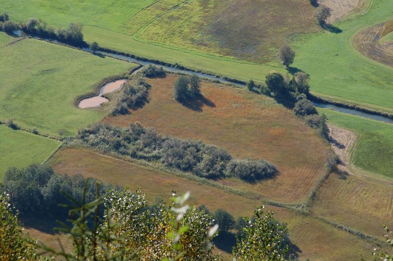 Datei:Streuwiese.jpg