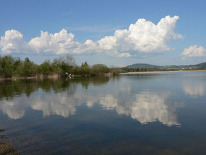 Wallersee.jpg