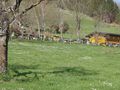 Bienenstöcke am Hubertauern.jpg