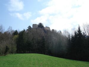 Burgruine Karlstein von Westen.JPG