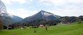 Hinterschroffenau mit Gurlspitze.jpg