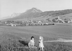 Sommerfrische Thalgau mit Schober und Drachenwand.jpg