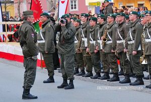 Angelobung 2015 in Neumarkt am Wallersee 44.jpg