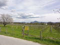 DSC02012.JPG