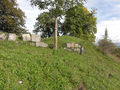 Mauerreste der ehemaligen Schlossanlage in Tettelham.jpg