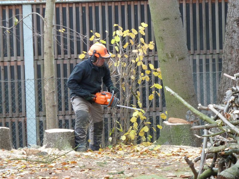 Datei:Schüttdorf 74.jpg