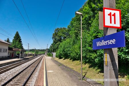 2023 06 13 Haltestelle Zell am Wallersee Seekirchen 5.jpg
