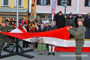 Angelobung 2015 in Neumarkt am Wallersee 76.jpg