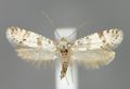 Vorschaubild der Version vom 09:33, 31. Jul. 2012
