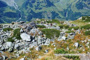 Großglockner Hochalpenstraße Hexenküche 01.jpg