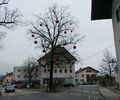 Marktplatz im Advent.jpg