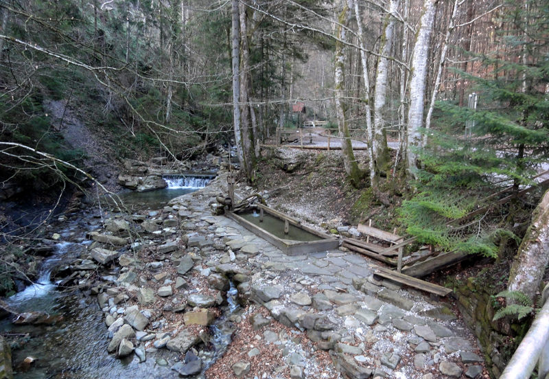 Datei:Natur pur.jpg