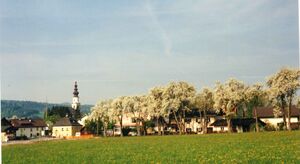 Pfarrhofallee Mai 1995 D.jpg