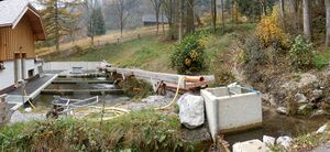 Viel Wasser.JPG