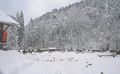 Vorschaubild der Version vom 11:05, 24. Dez. 2009
