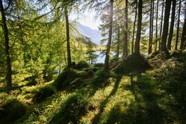 Wirpitschsee, untere-weißpriach 29636 2016-07-10.jpg