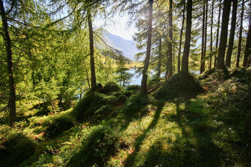 Datei:Wirpitschsee, untere-weißpriach 29636 2016-07-10.jpg