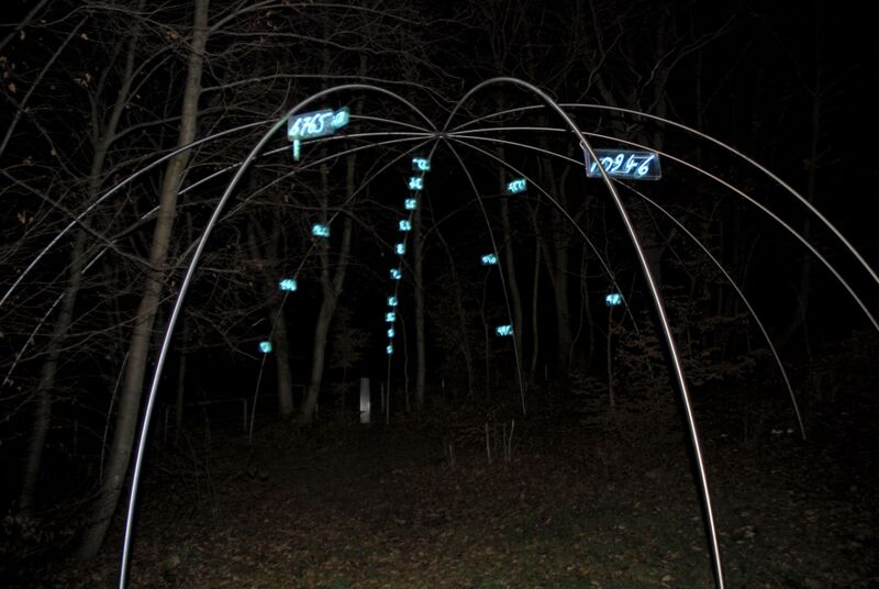 Datei:Ziffern im Wald 03.jpg