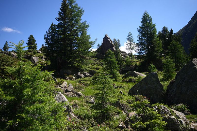 Datei:Schönalm weißpriach 29790 2016-07-10.jpg