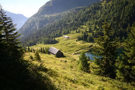 Wirpitschalm 29955 2016-07-10.jpg
