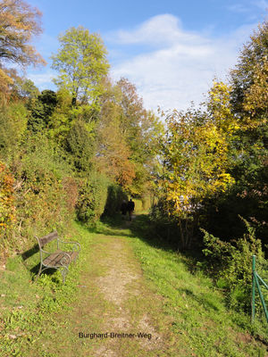 Burghard-Breitner-Weg Kopie.jpg