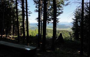 Gabrielenaussicht am Haunsberg.jpg