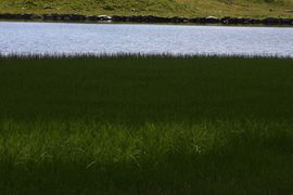 Hundsfeldsee obertauern 30880 2016-08-04.jpg