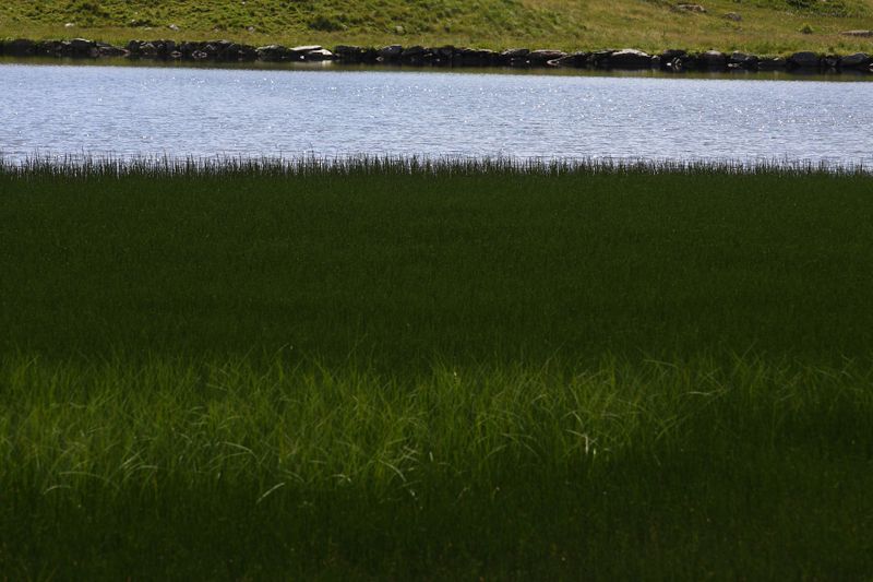 Datei:Hundsfeldsee obertauern 30880 2016-08-04.jpg