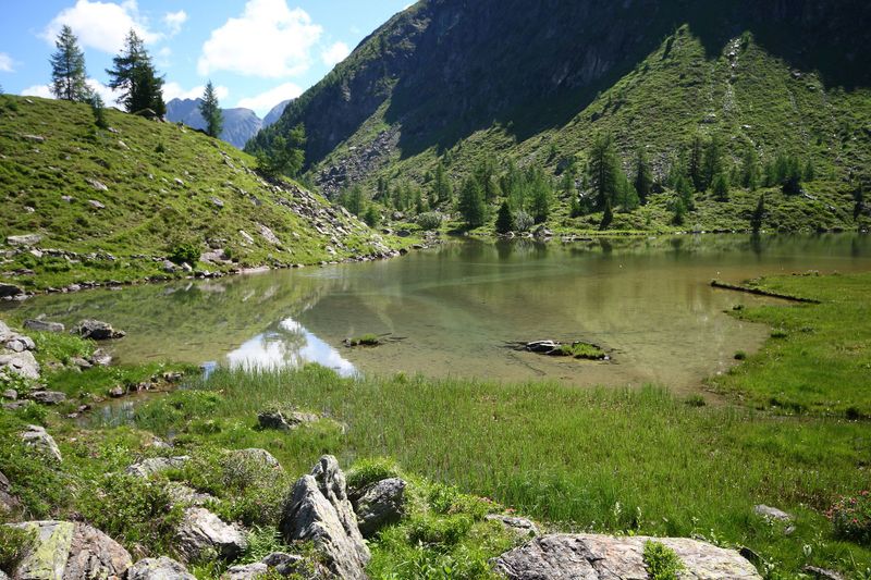 Datei:Lacken weißpriach 29544 2016-07-10.jpg