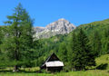Permuthwand.jpg