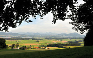 Buchberg.jpg