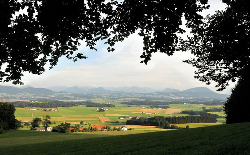 Datei:Buchberg.jpg