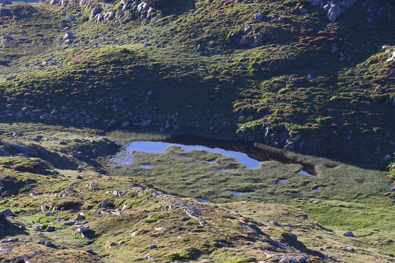 Datei:Schönalm weißpriach 29980 2016-07-10.jpg