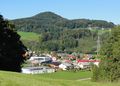 Blick zum Gitzen vom Maria Plain-Weg aus.jpg