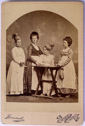 Fasching 1878 1.JPG