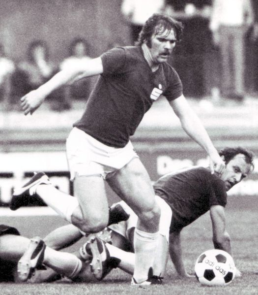 Datei:Geraldhaider.jpg