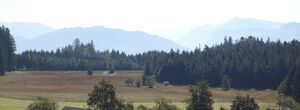 Holzinger Moos, Sommer 2009.jpg