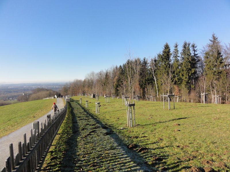 Datei:Paxnatura Anlage am Plainbergweg.jpg