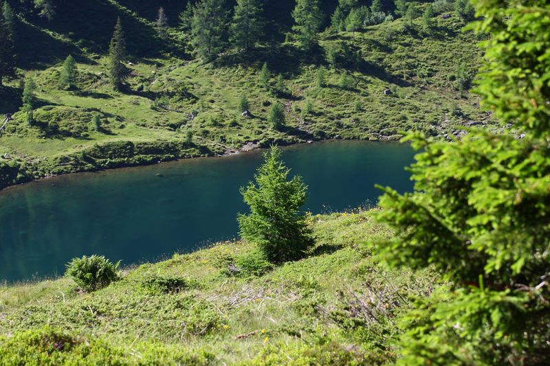 Datei:Wirpitschsee, unterer 29564 2016-07-10.jpg