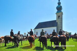 2015 04 19 Georgiritt Sommerholz 11.jpg