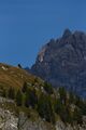 Faulkogel-0291-2021-09-14.jpg