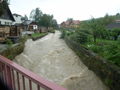 Fischbach, 28.6.09 RIMG0085.jpg