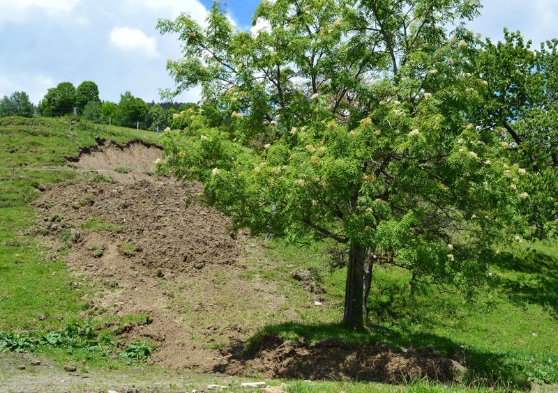 Datei:Plaike am Sonnberg.jpg