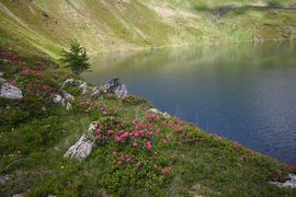 Schönalmsee, obere 29898 2016-07-10.jpg