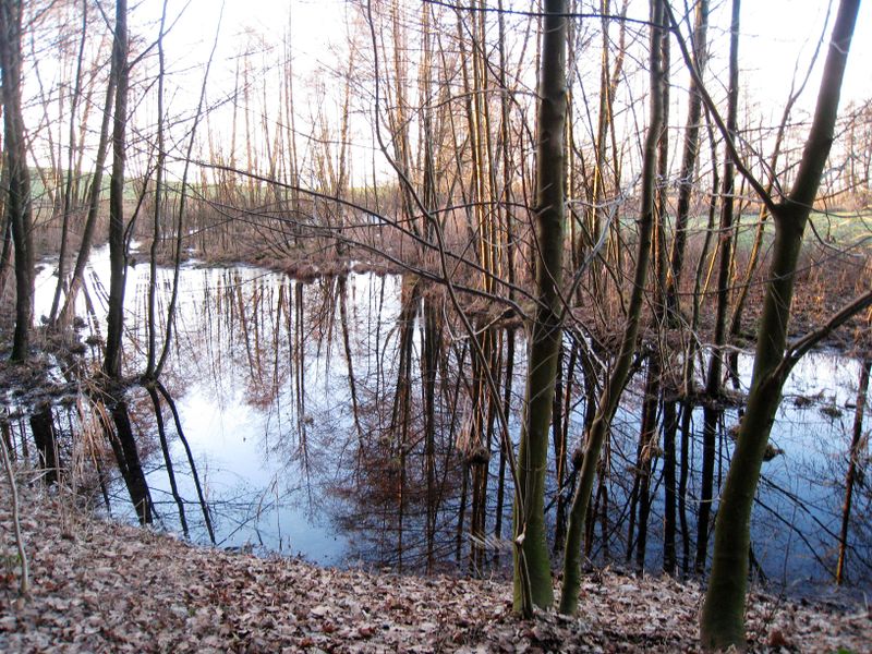 Datei:Eggelsberger Gletscherrandweg Toteisloch Eggelsberg.jpg
